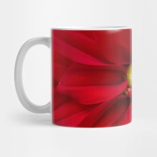 Red Bloom Photography My Mug